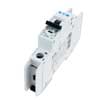 Picture of Electrical Cabinet SMALL CELL BREAKER Single-phase 120 Vac 4x 15A Branches UL 489